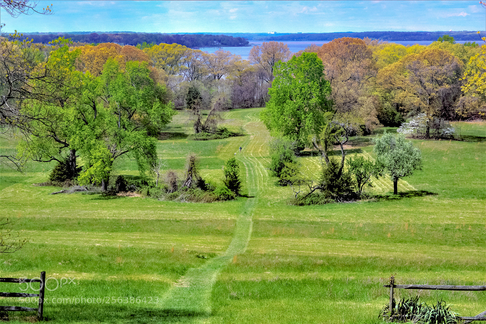 Nikon D5200 sample photo. Aventine's back nine photography