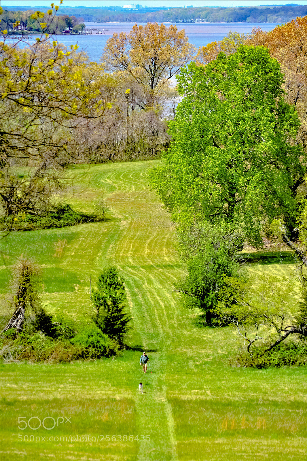 Nikon D5200 sample photo. In the field photography