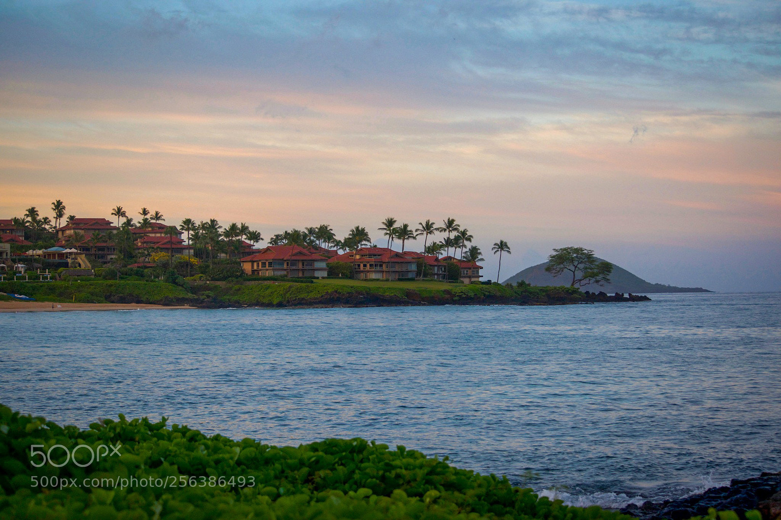 Nikon D3300 sample photo. Hawaii dairies photography