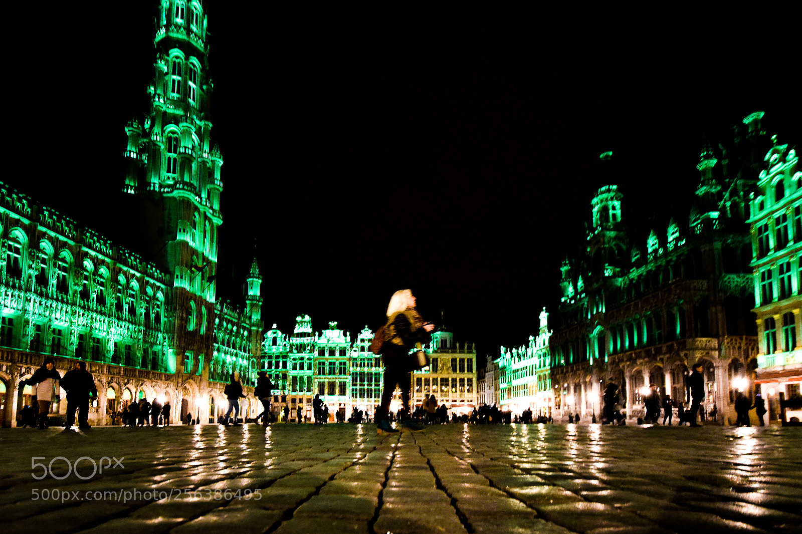 Nikon D810 sample photo. Brussels photography
