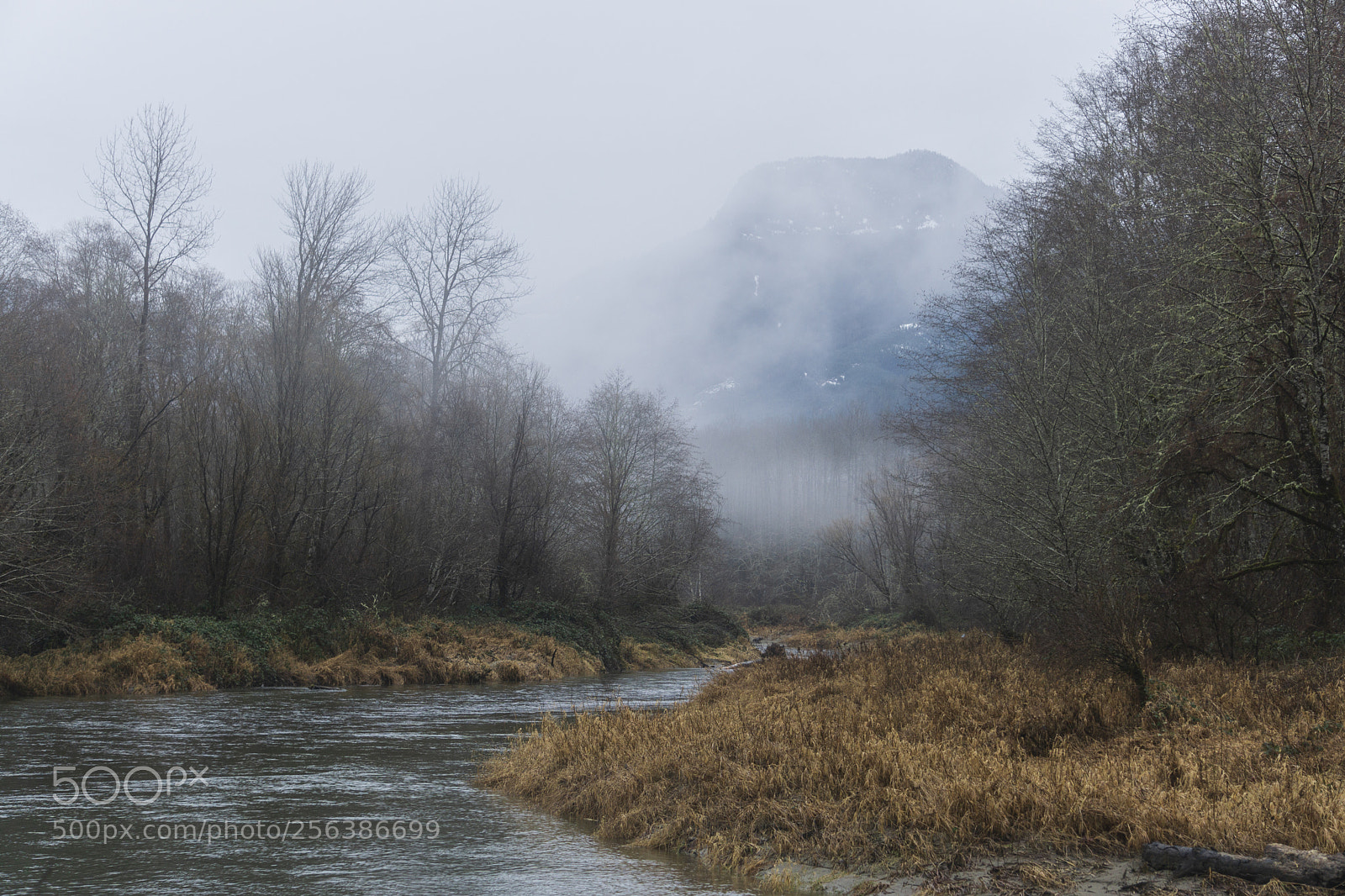 Sony a6000 sample photo. Misty morning photography