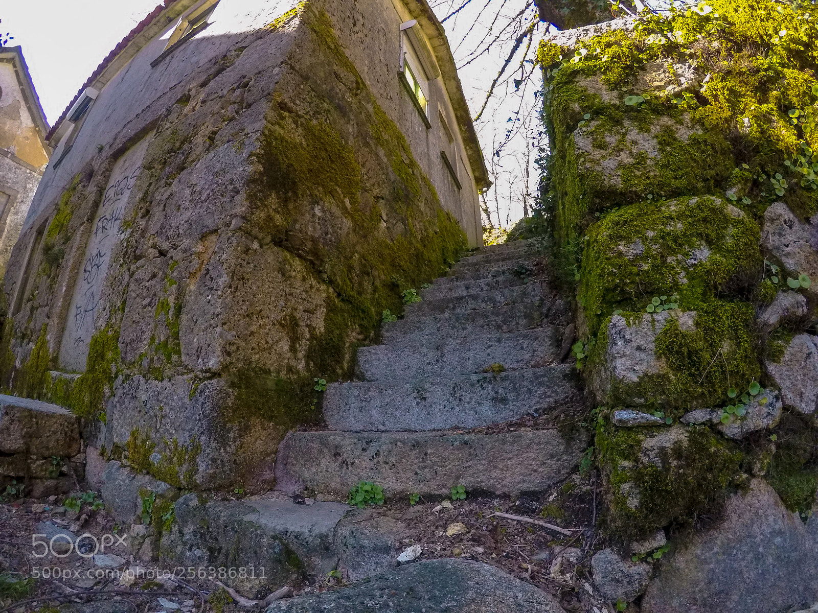 GoPro Hero5 Black sample photo. Mossy stairway photography