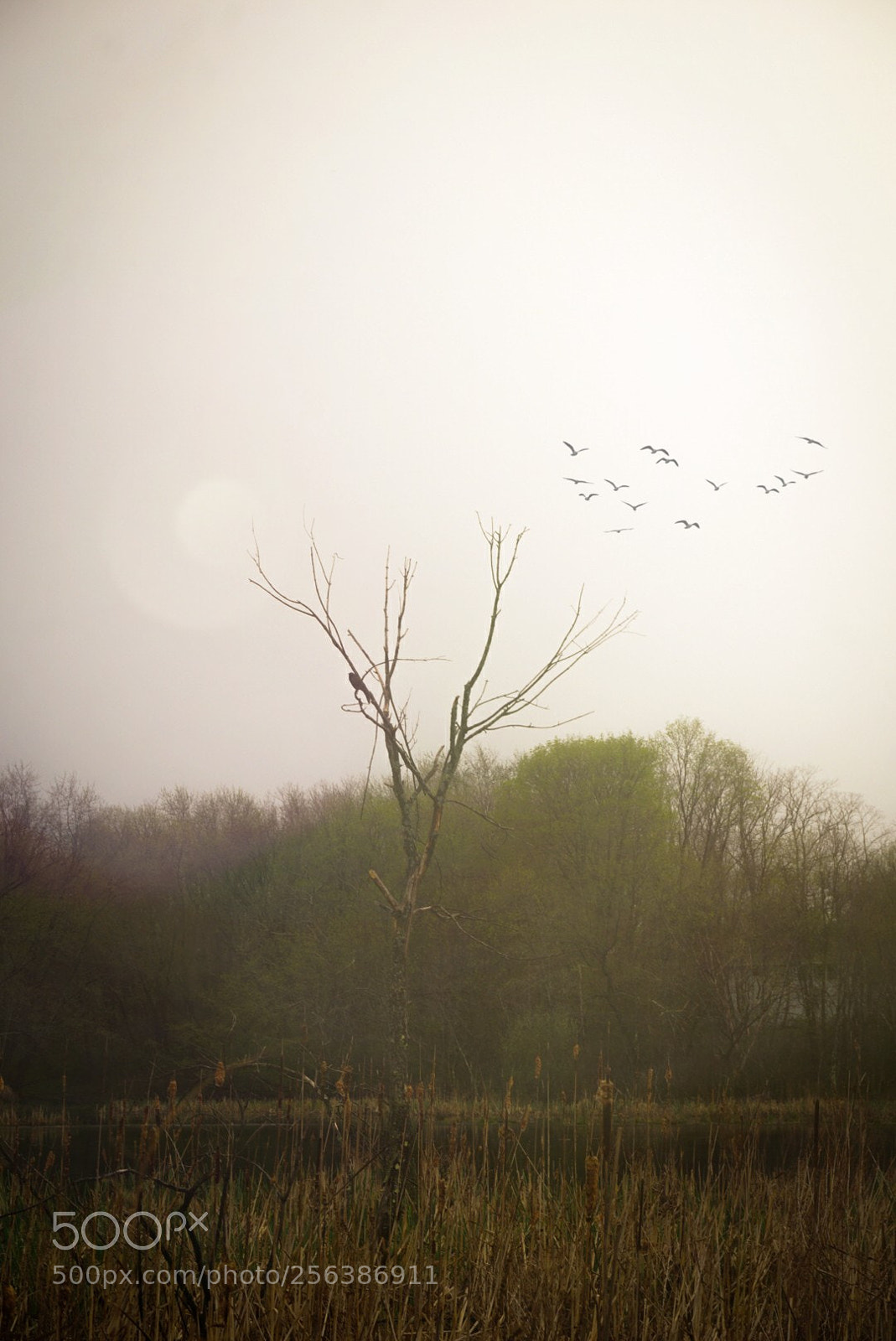 Sony a6000 sample photo. Just a little photoshop photography