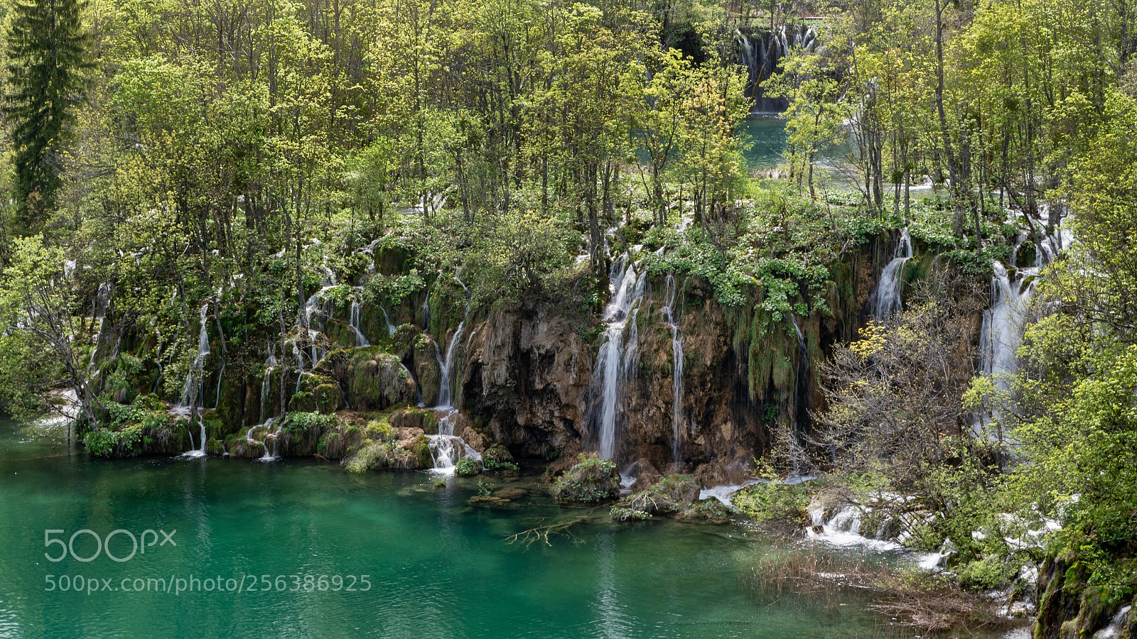 Nikon D750 sample photo. Plitvice lakes photography