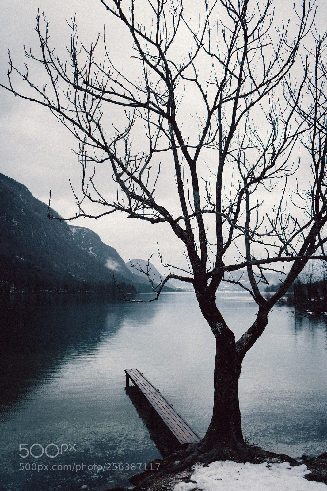 Sony a7R II sample photo. Untitled photography