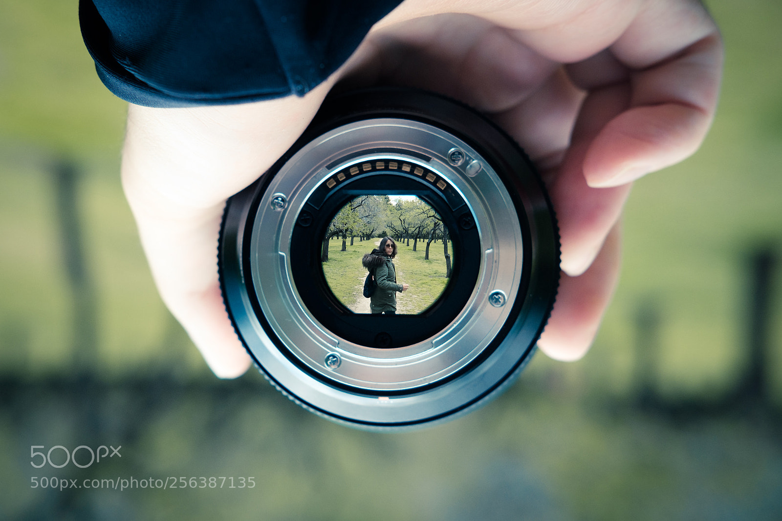 Fujifilm X-T2 sample photo. Upside down photography