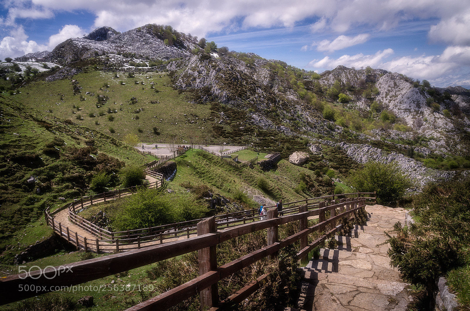 Nikon D5100 sample photo. The path photography