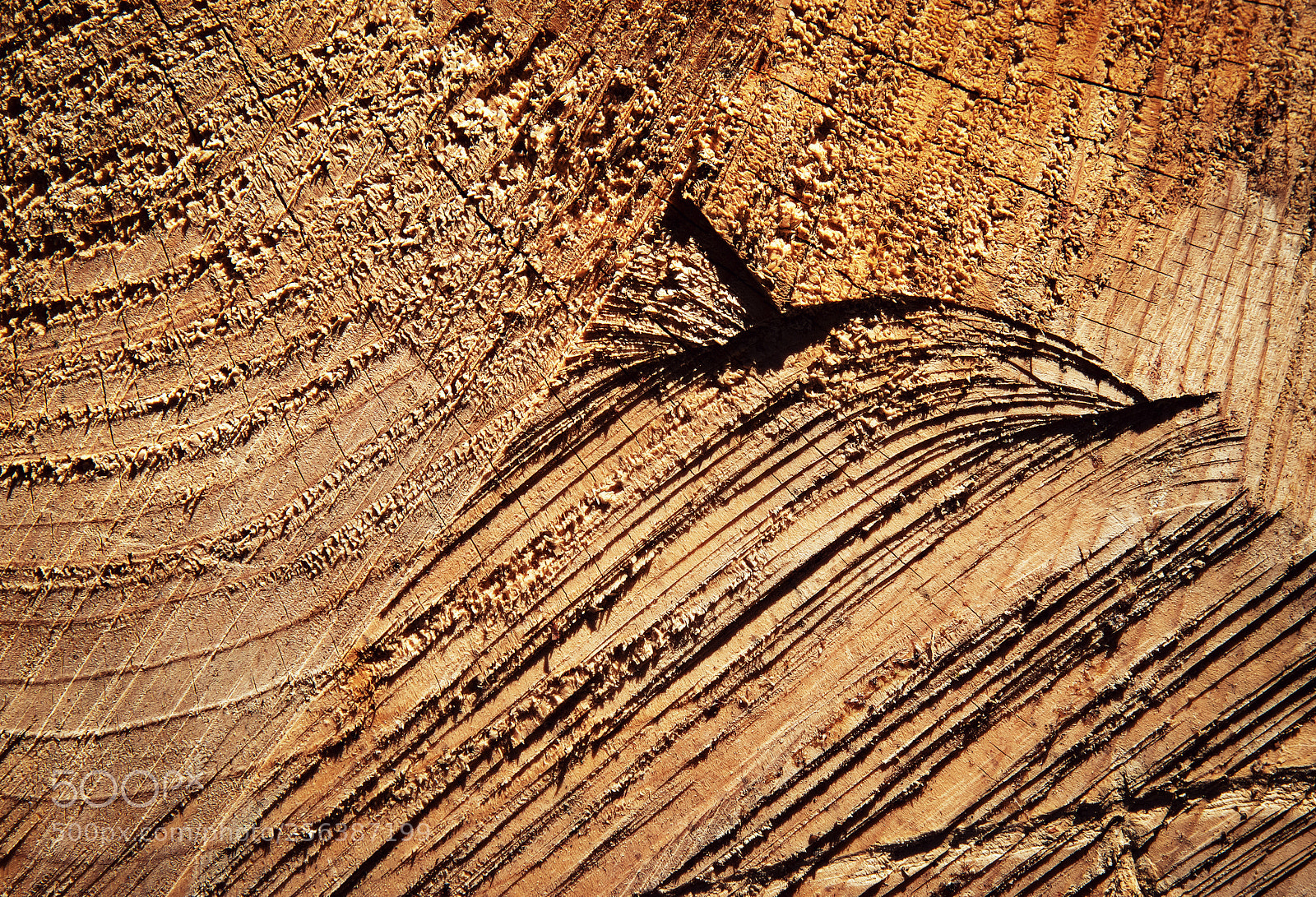 Nikon D5500 sample photo. Scratches on wood felling photography