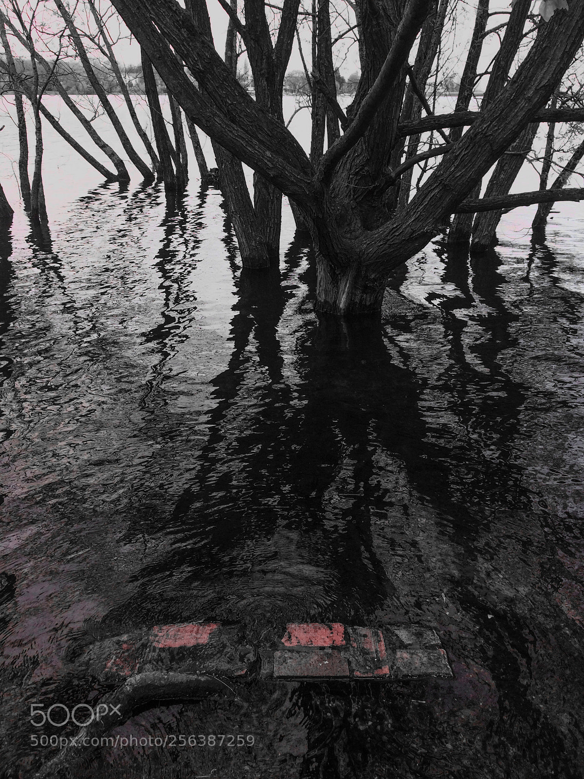 Apple iPhone 5s sample photo. Edgbaston reservoir photography