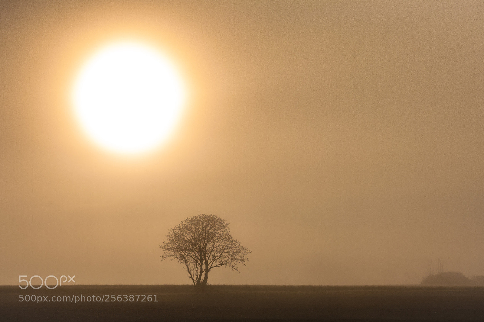 Canon EOS 5D sample photo. In the morning photography