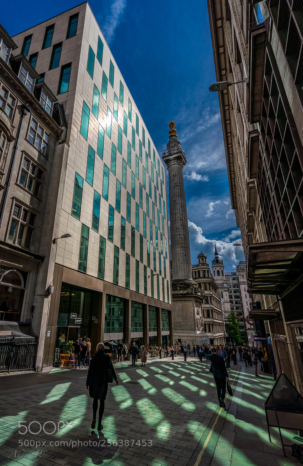 Sony a7R III sample photo. Green reflections photography