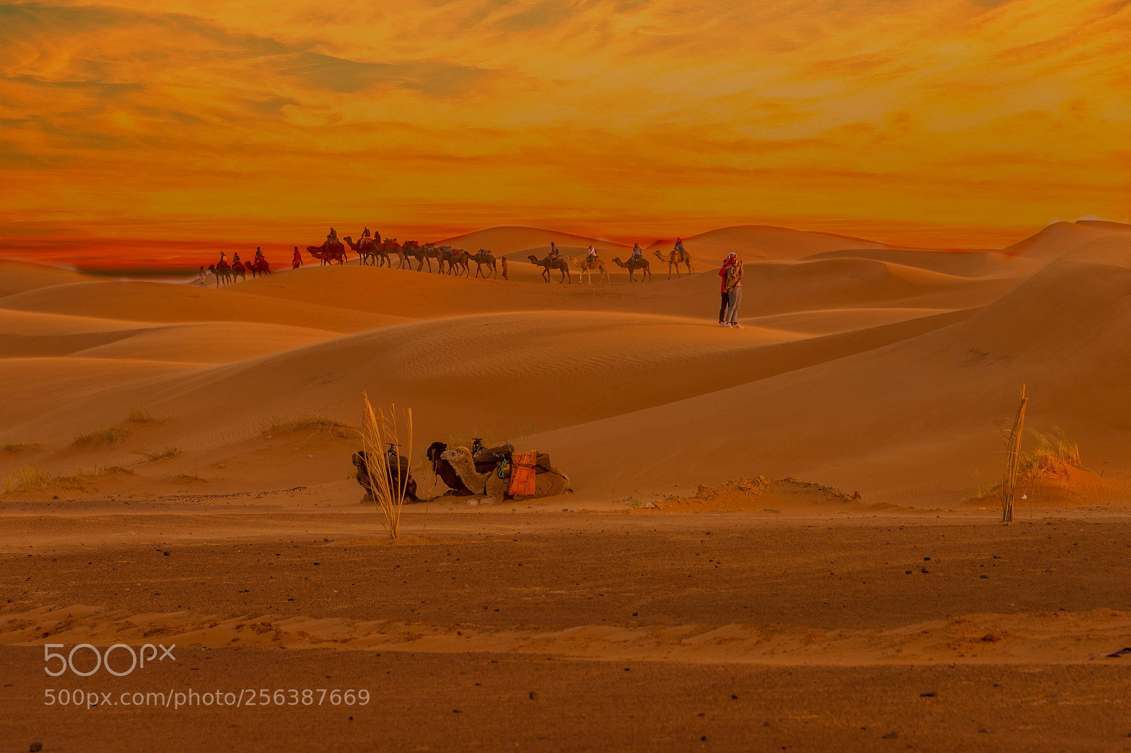 Nikon D4 sample photo. Merzouga photography