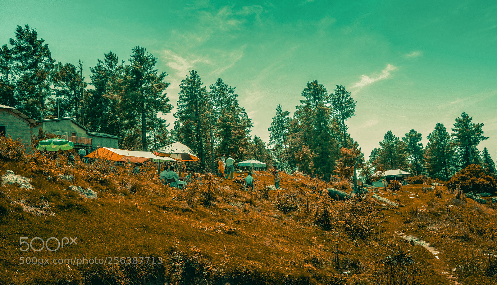 Nikon D3200 sample photo. Thandiani, pakistan photography