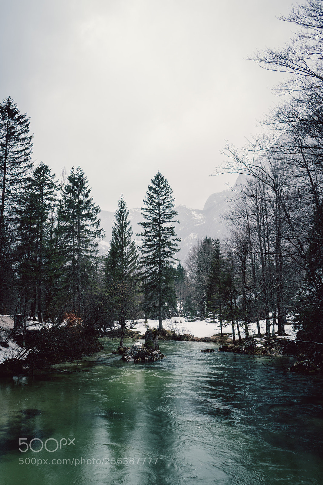 Sony a7R II sample photo. Untitled photography