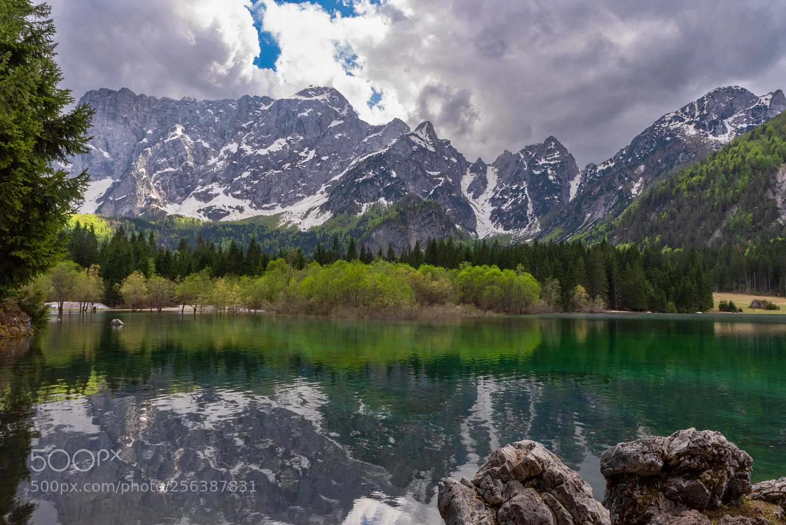 Nikon D750 sample photo. Laghi di fusine photography