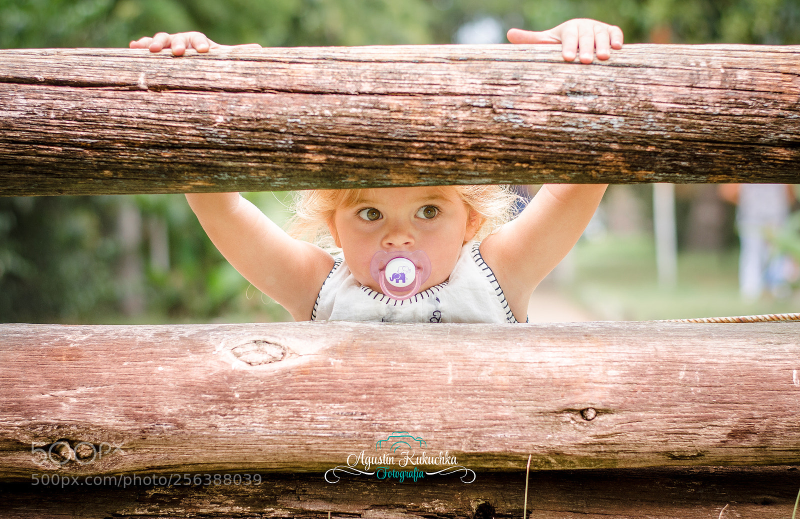 Nikon D5100 sample photo. Manu photography