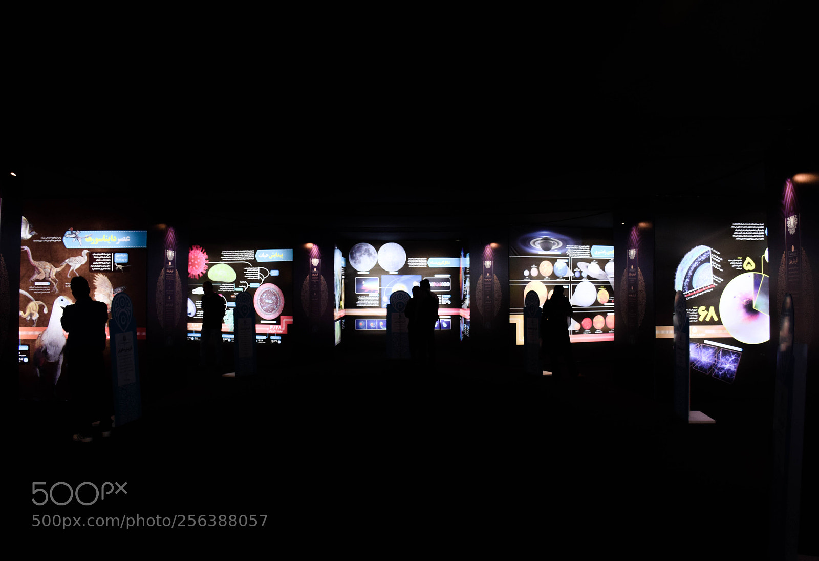 Nikon D5300 sample photo. Forgotten stories photography