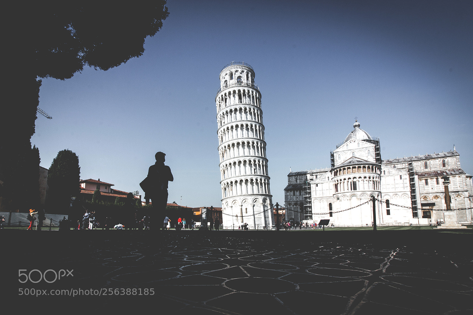 Canon EOS 70D sample photo. The leaning tower of photography