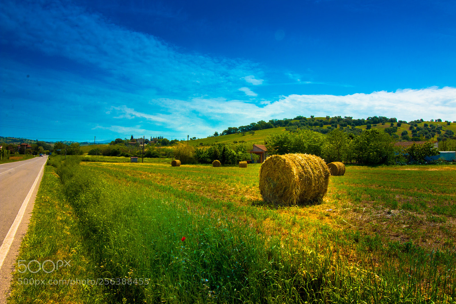 Canon EOS 70D sample photo. Somewhere near san gimignano photography