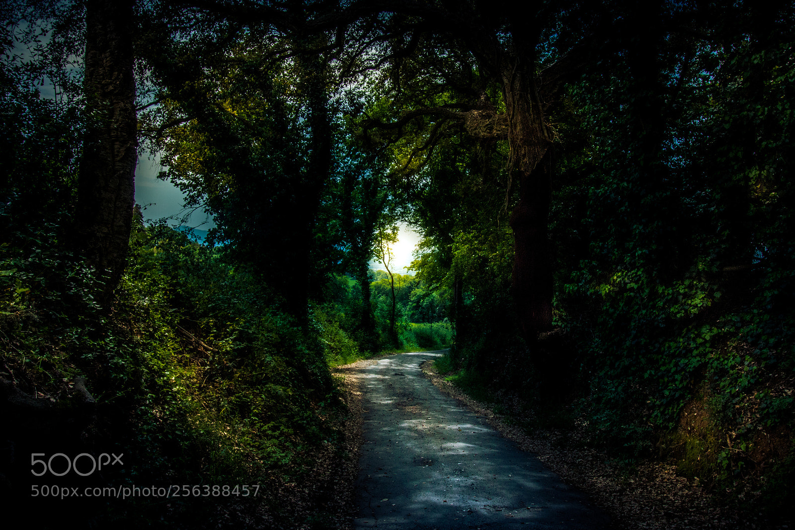 Canon EOS 70D sample photo. Somewhere in tuscany photography