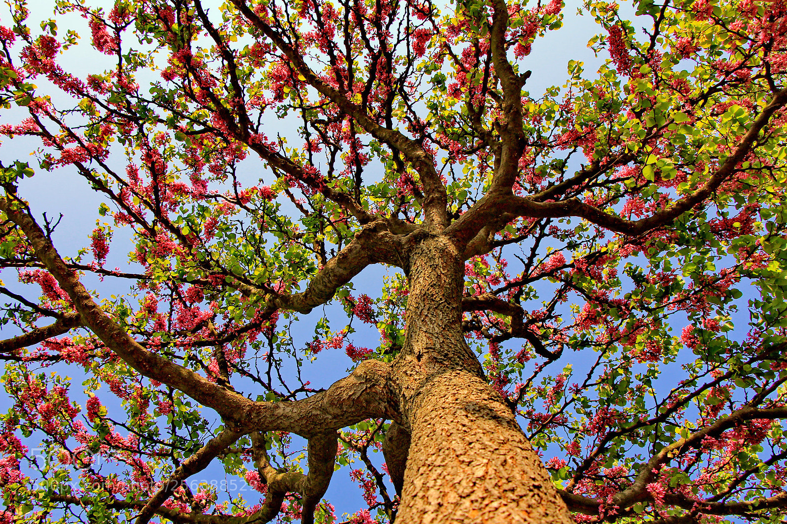 Canon EOS 60D sample photo. Untitled photography