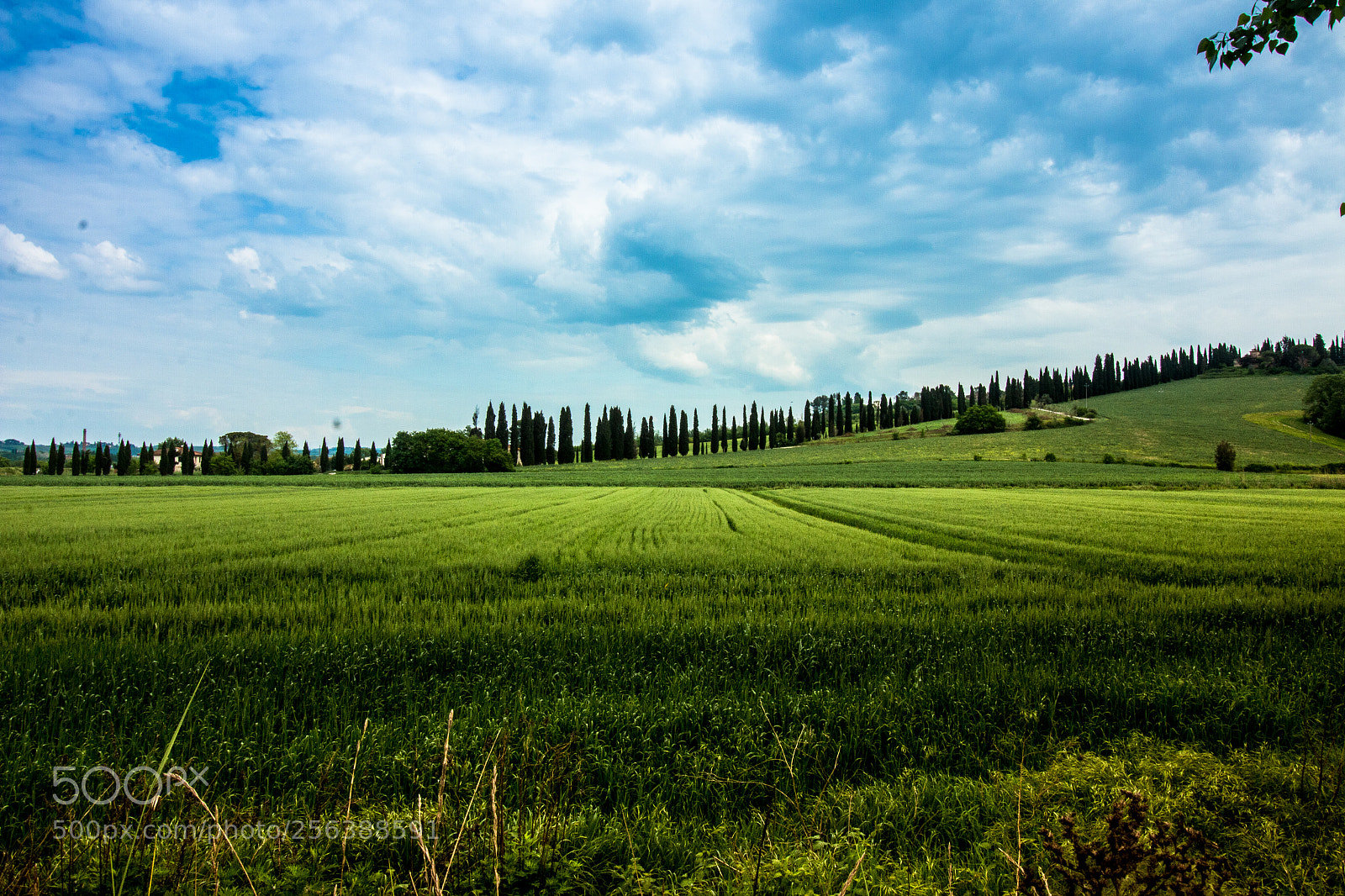 Canon EOS 70D sample photo. The beautiful land of photography