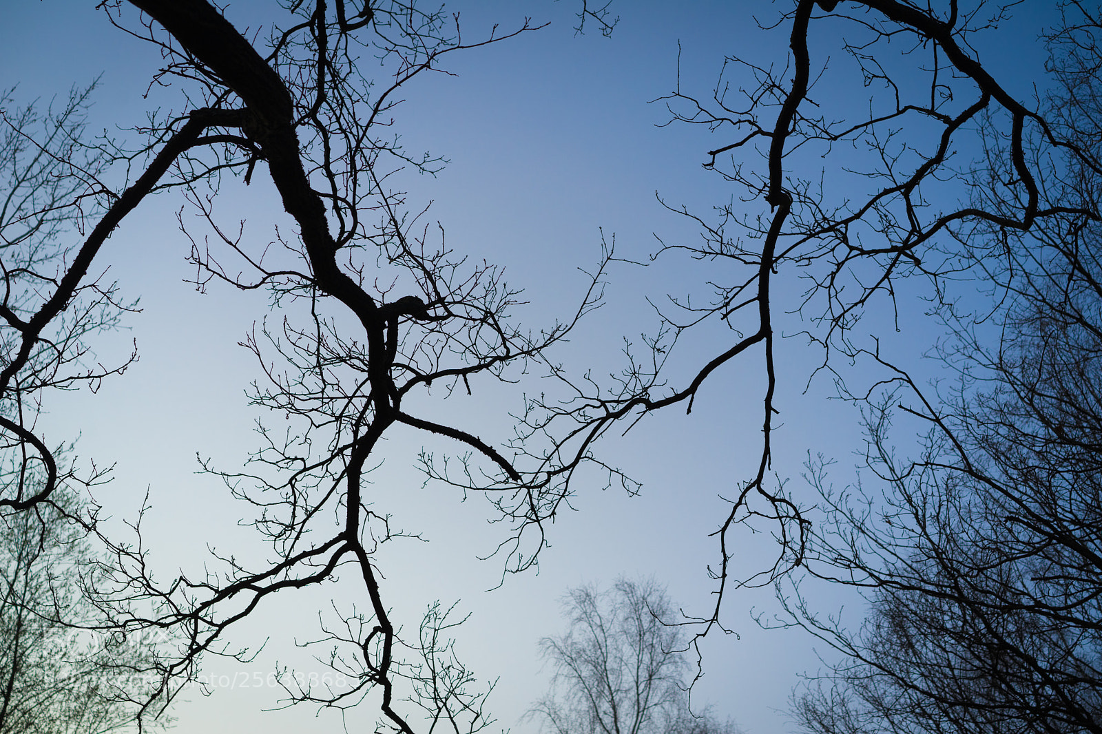 Sony a7 II sample photo. *** photography