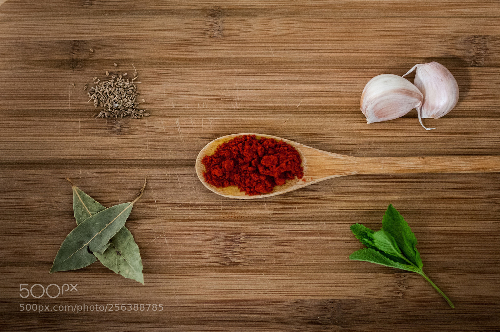 Nikon D300S sample photo. Paprika photography