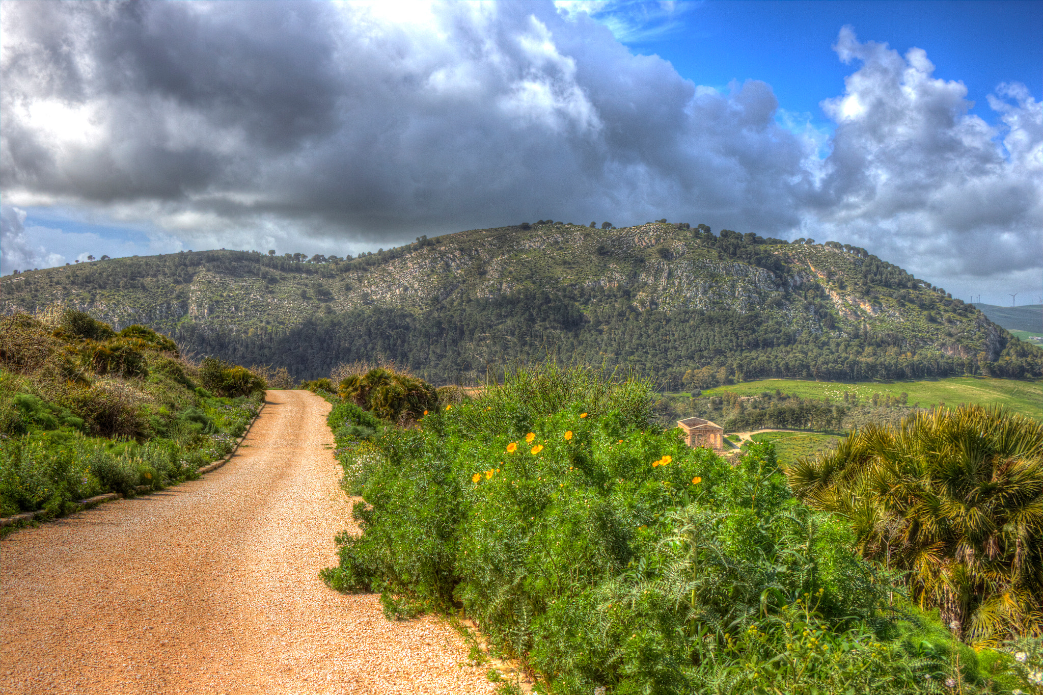 Canon EF-S 18-55mm F3.5-5.6 II sample photo. View from segesta photography