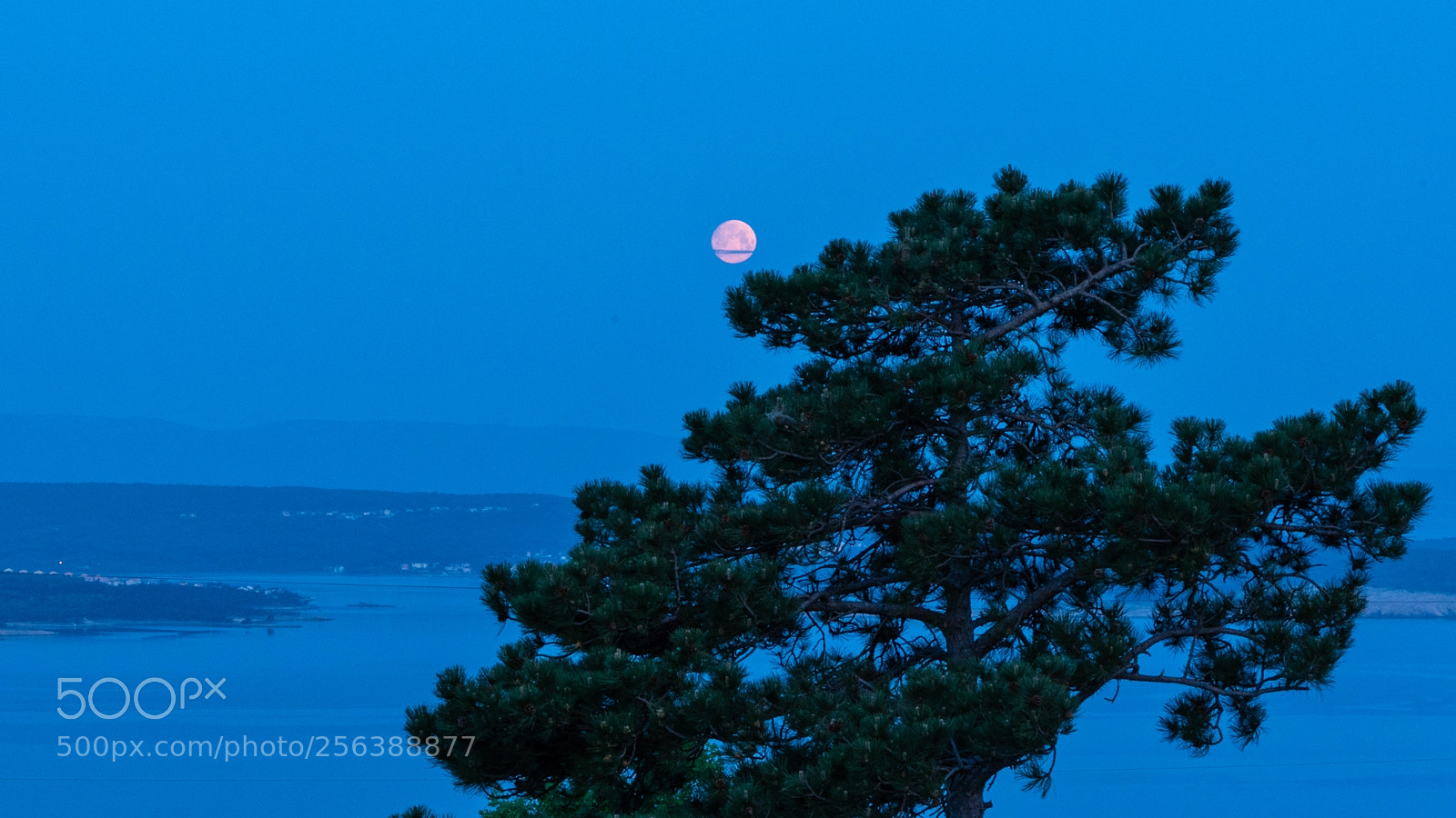 Nikon D750 sample photo. Morning moon photography