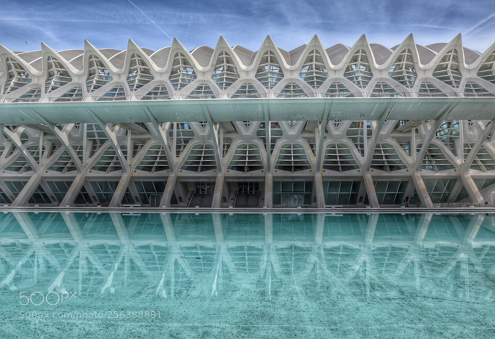 Nikon D5500 sample photo. Oceanogr fic de valencia photography