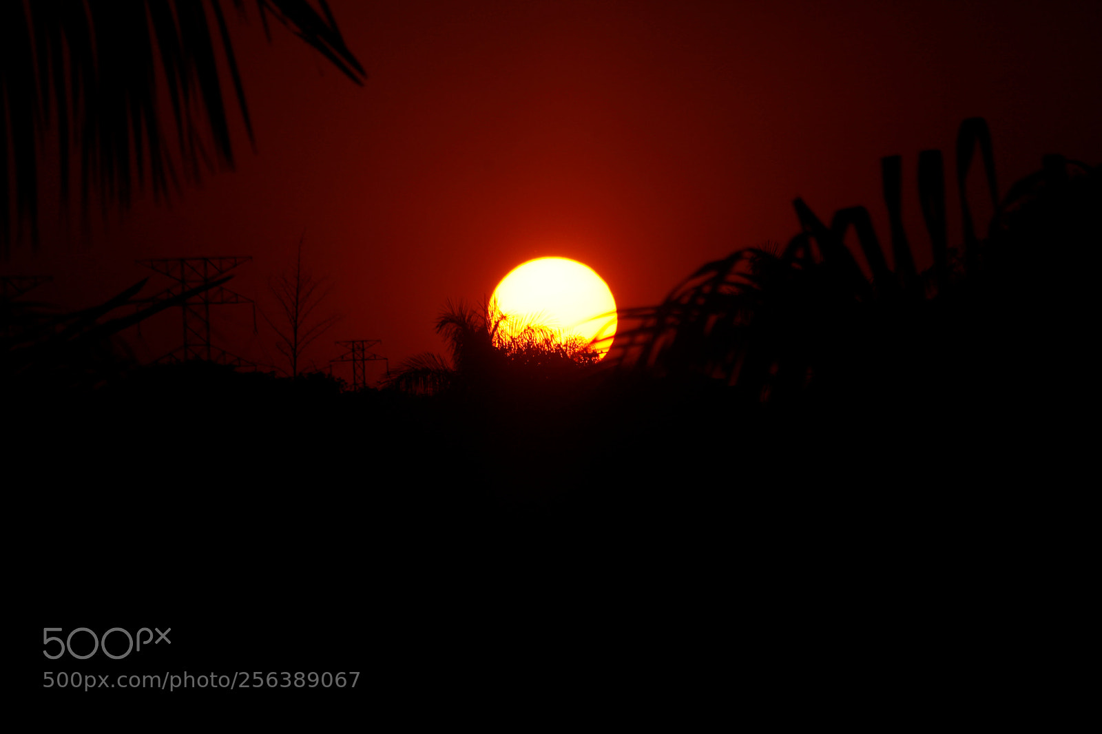 Canon EF 75-300mm f/4-5.6 sample photo. Mg photography