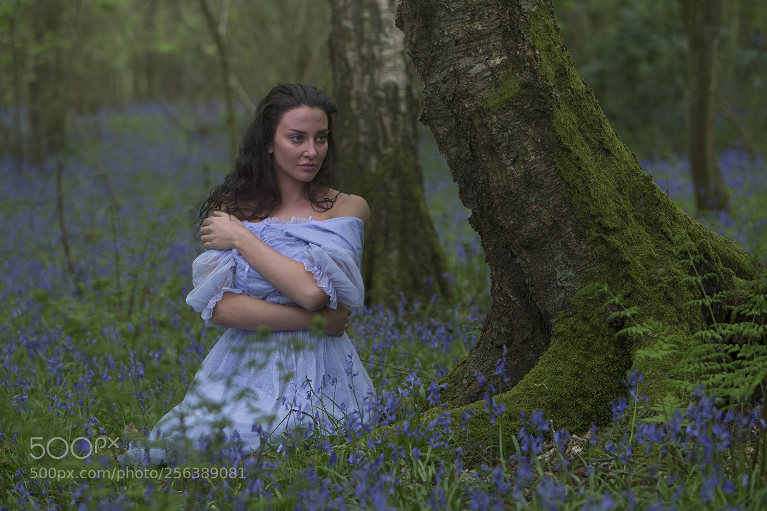 Canon EOS-1D X sample photo. A73z5332-1.jpg photography