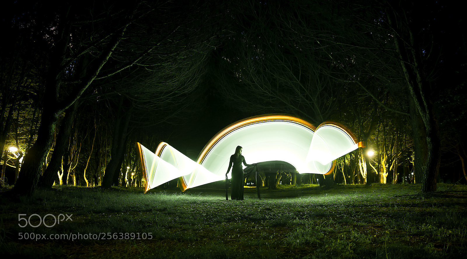 Nikon D700 sample photo. From shadows to light photography