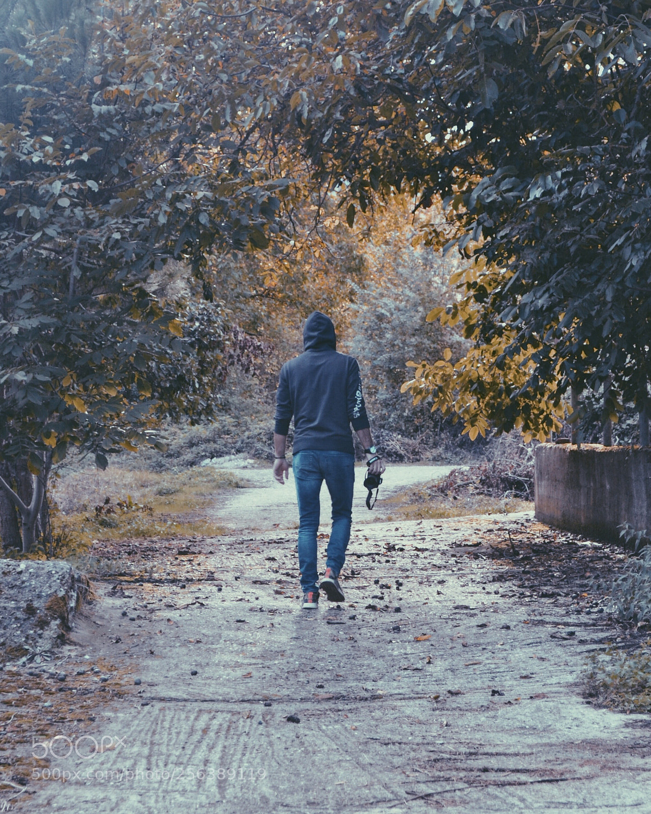 Nikon D3100 sample photo. "walk".. photography