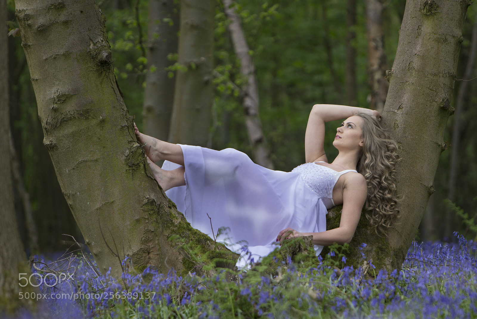Canon EOS-1D X sample photo. A73z4960-1.jpg photography