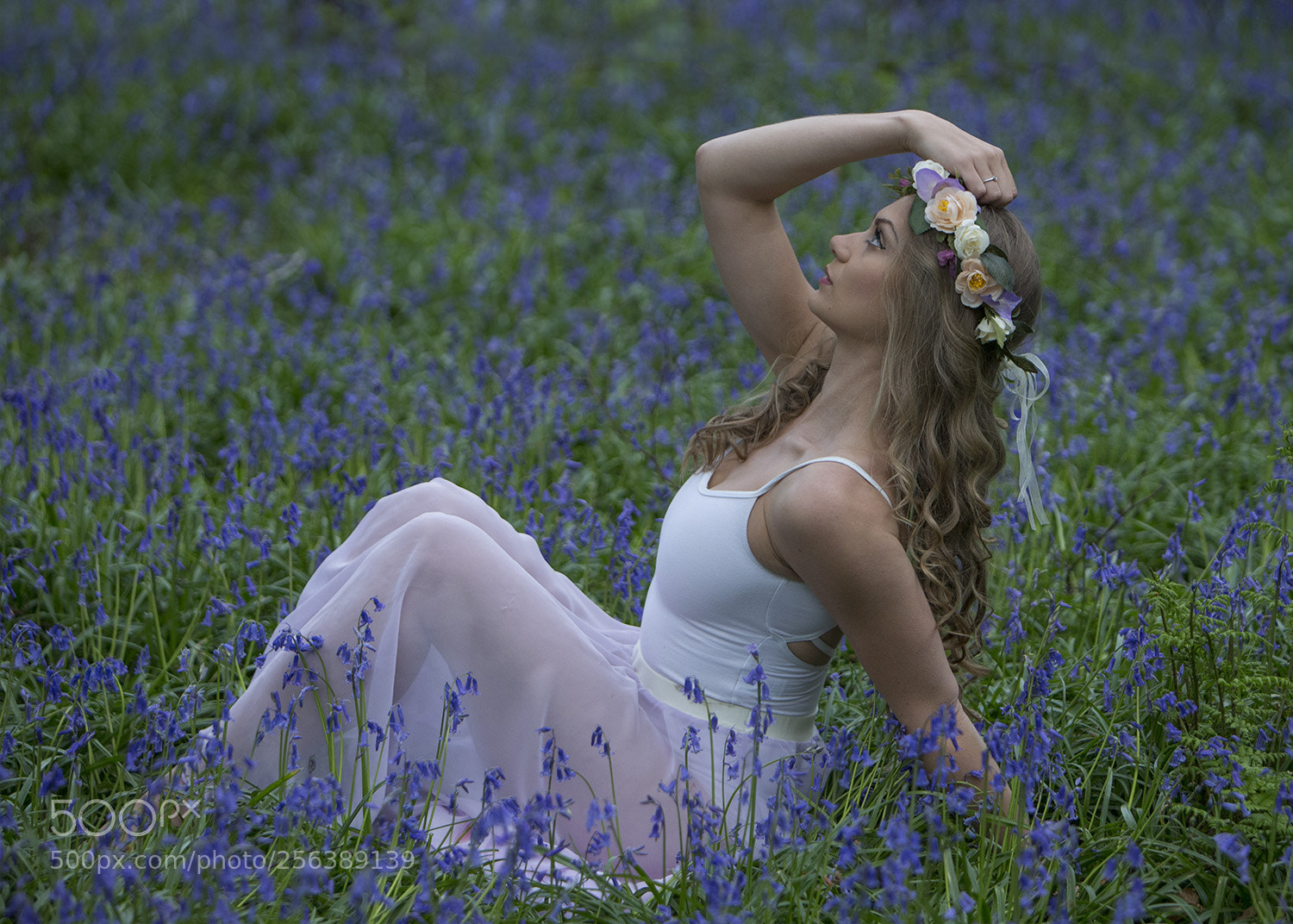 Canon EOS-1D X sample photo. A73z5633-1.jpg photography