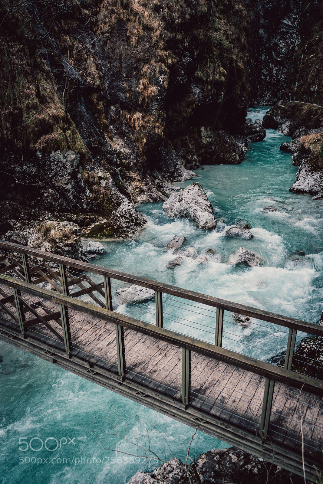 Sony a7R II sample photo. Untitled photography
