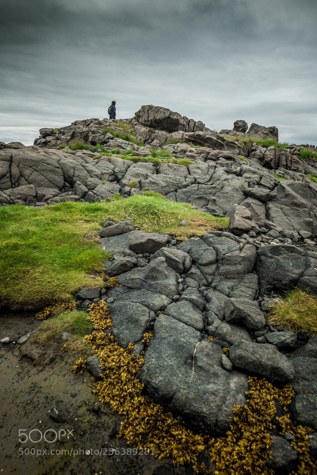 Nikon D750 sample photo. Lowtide in the westfjords photography