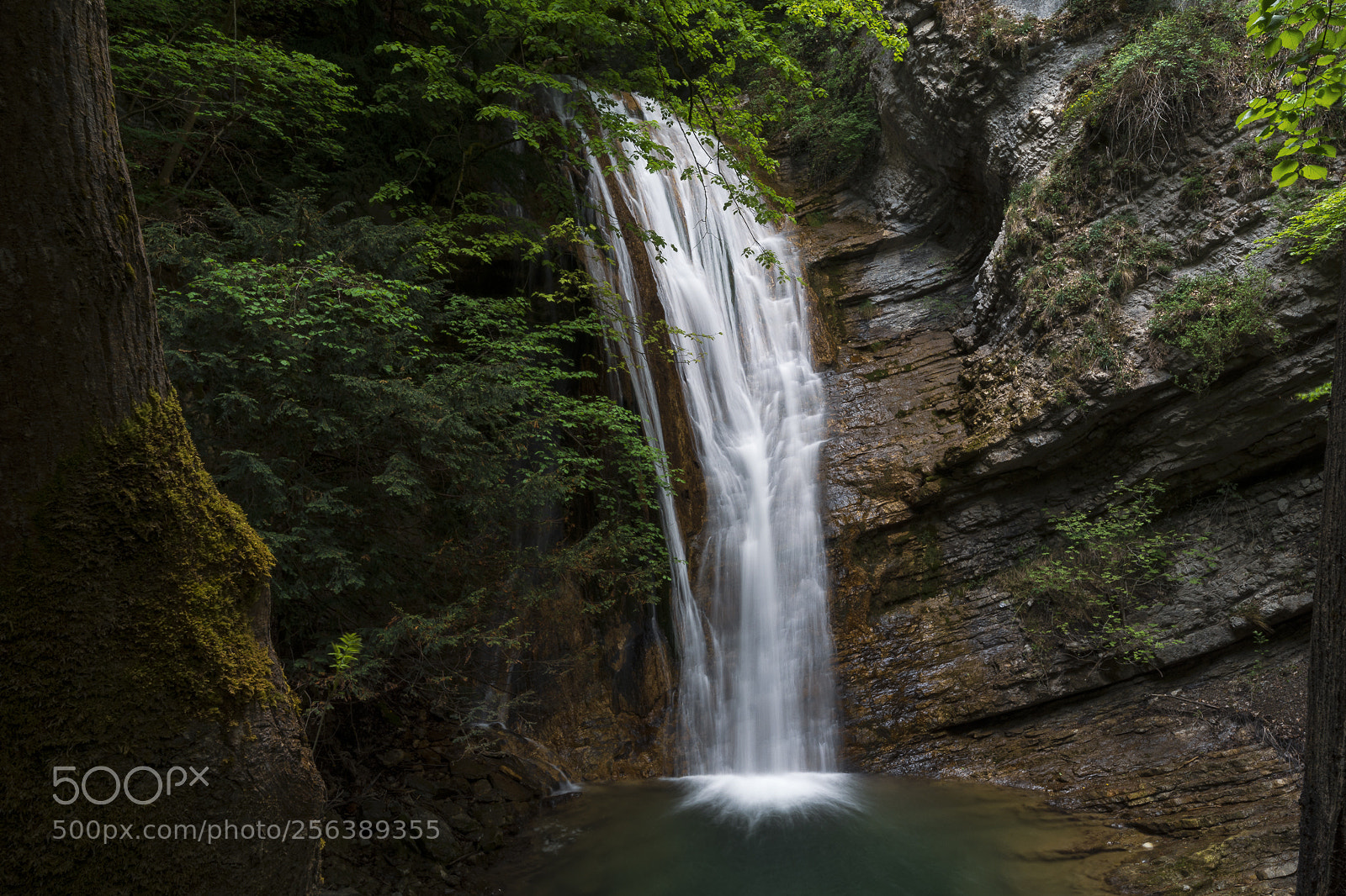 Nikon D7200 sample photo. Chevelure de vie photography
