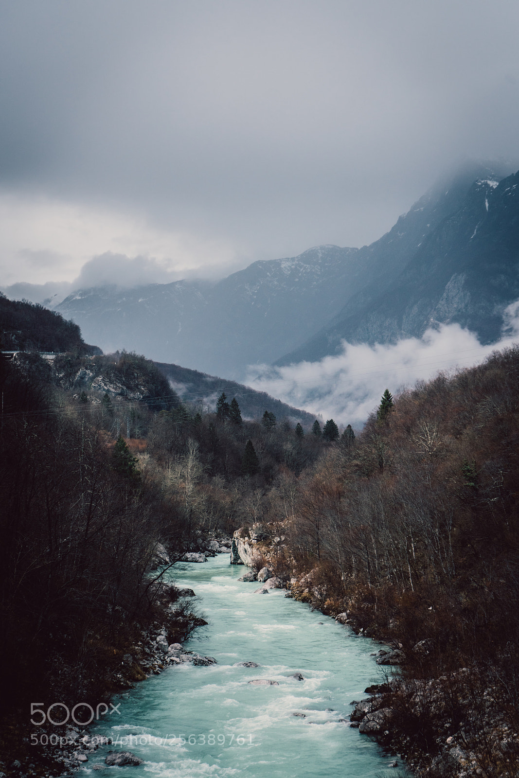 Sony a7R II sample photo. Untitled photography