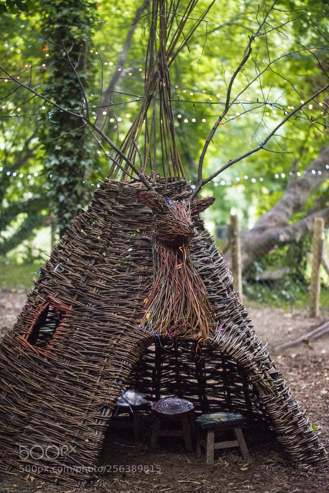 Sony a7R sample photo. Fairies' teepee photography