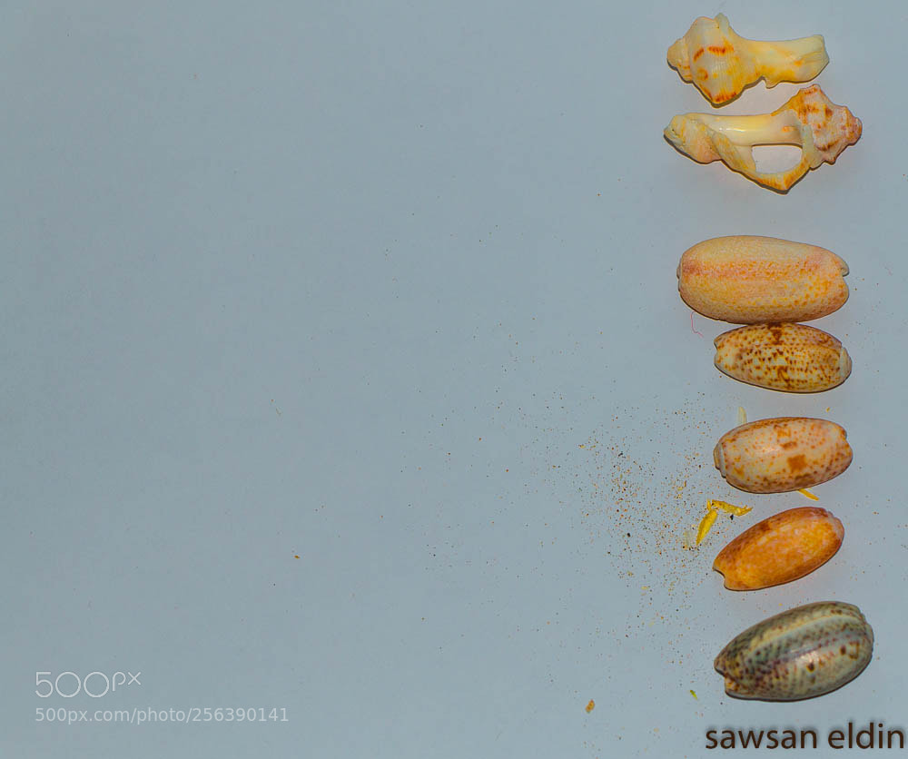 Canon EOS 70D sample photo. Untitled photography