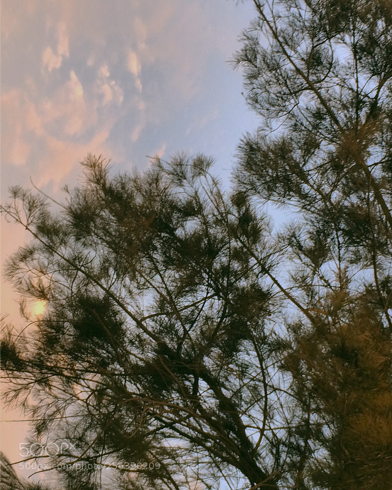 Apple iPhone 5s sample photo. Untitled photography