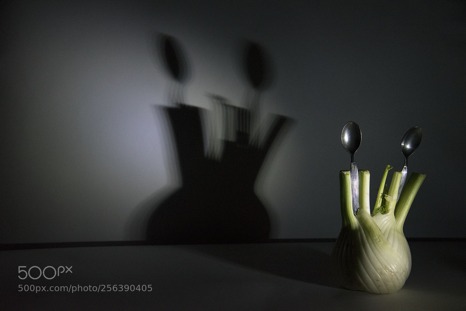 Nikon D750 sample photo. Imaginary place photography