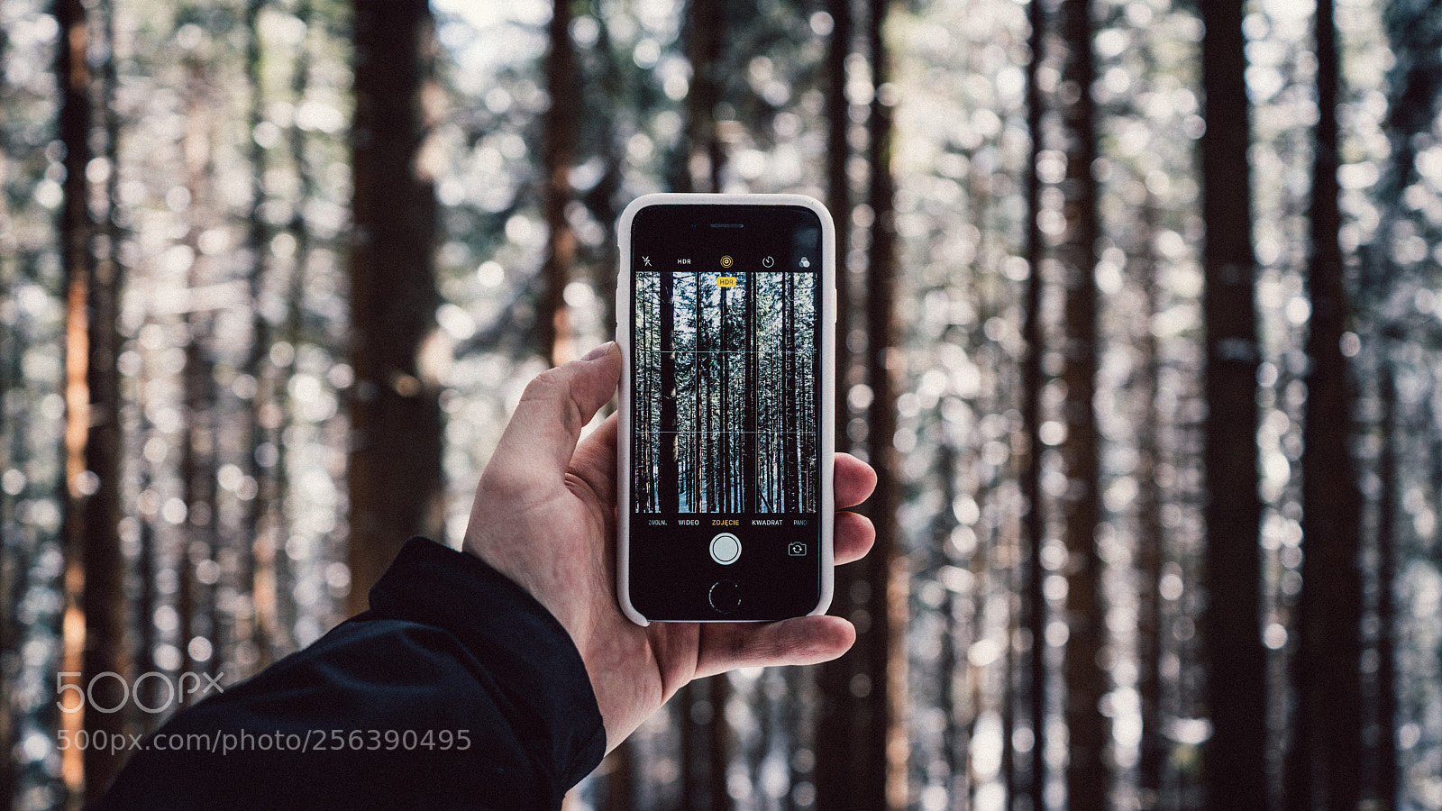 Sony a7R II sample photo. Untitled photography