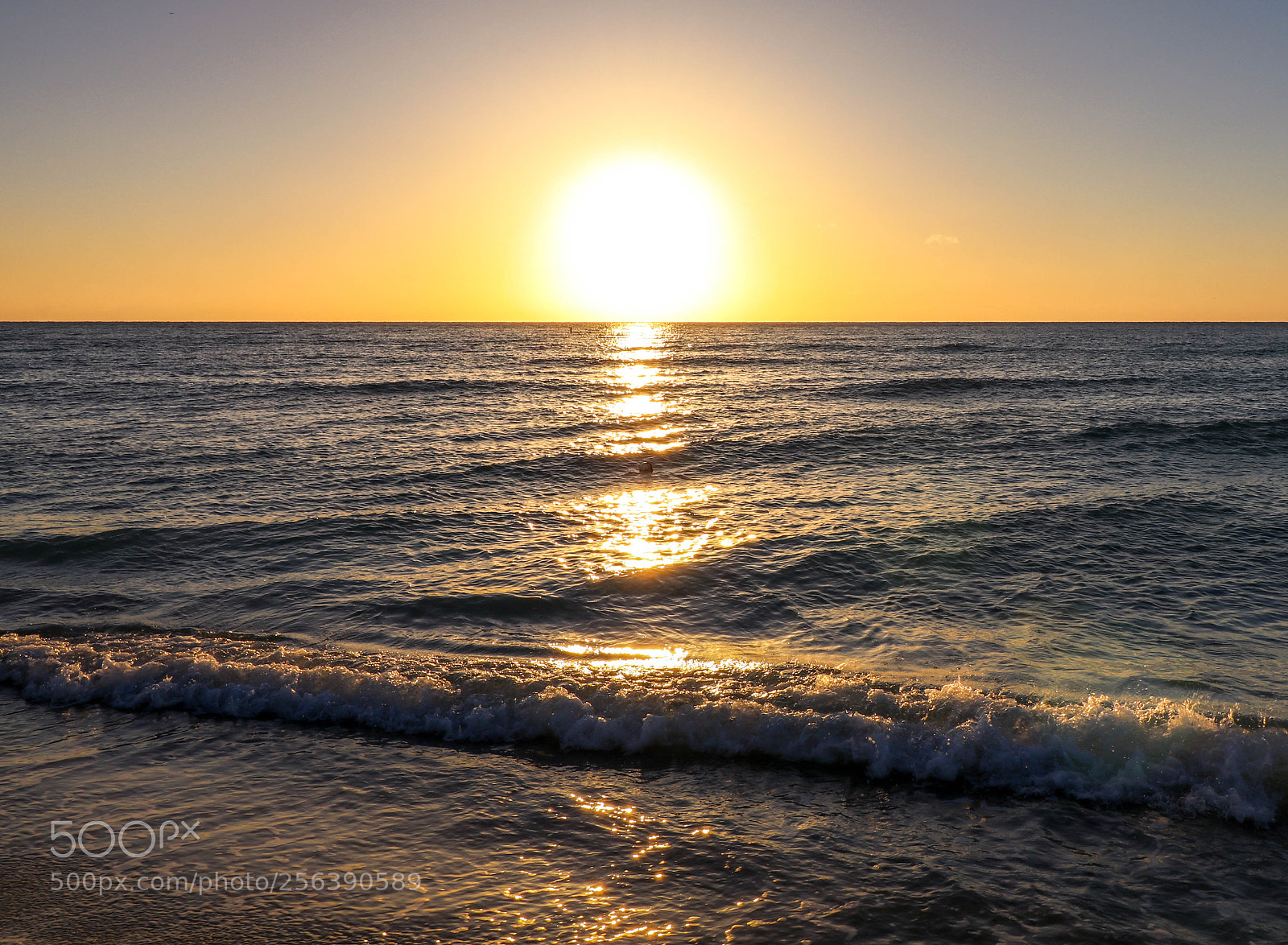 Canon EOS 80D sample photo. The rising sun photography