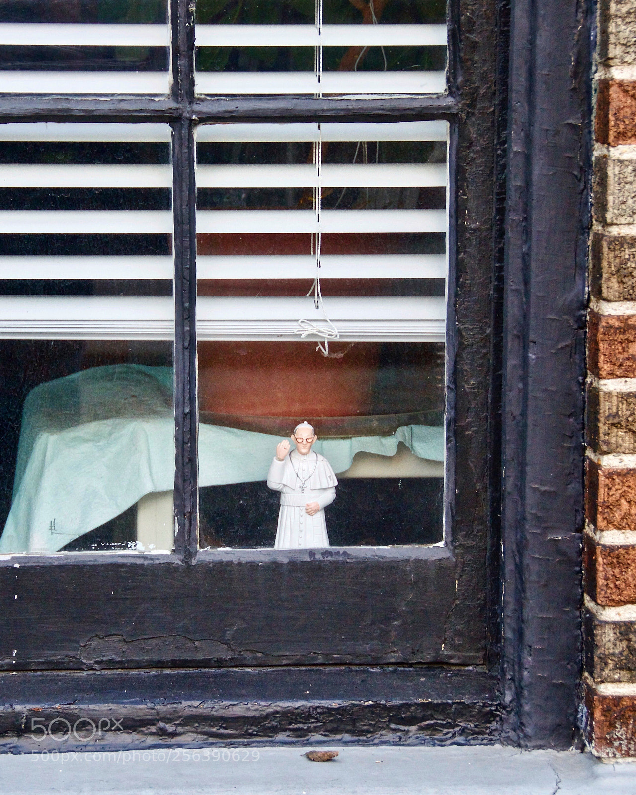 Nikon D5100 sample photo. The pope waved at photography