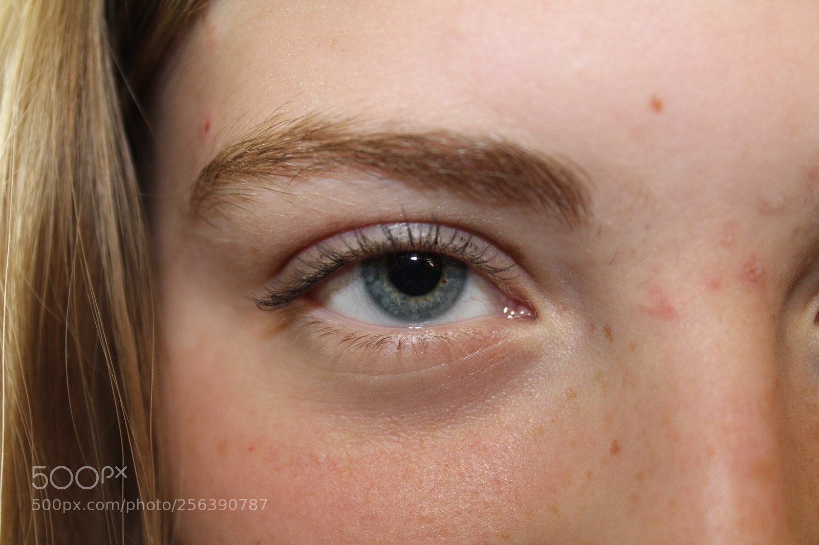 Canon EOS 1200D (EOS Rebel T5 / EOS Kiss X70 / EOS Hi) sample photo. Skies in eyes  photography