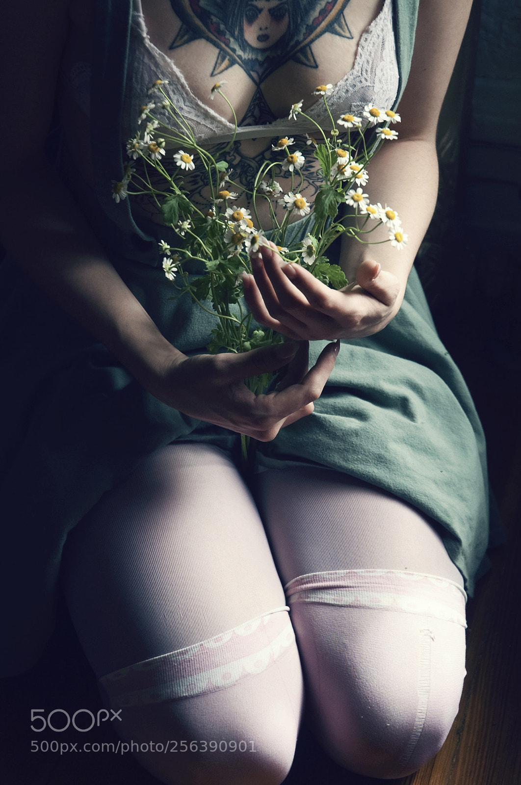 Nikon D700 sample photo. Untitled photography